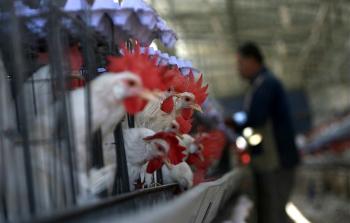 صورة أرشيفية