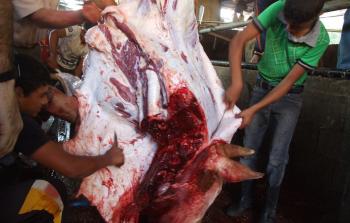 صورة أرشيفية للحوم حمراء في غزة 