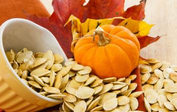 بذور اليقطين (أرشيف)