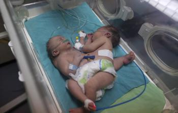 (تصوير محمود أبو حصيرة)