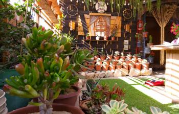 يطمح جرادة أن يجد من يدعم فكرته من أجل تطويرها وتوسعتها