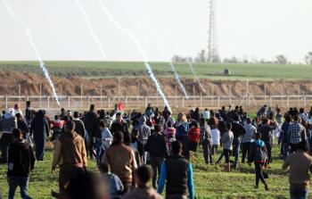 تصوير / ياسر فتحي 