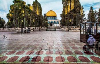 صورة أرشيفية