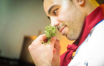  قد يتضرر الأنف الحسي بسبب إصابة في الرأس أو بفيروس