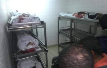 تصوير/ رمضان الأغا 