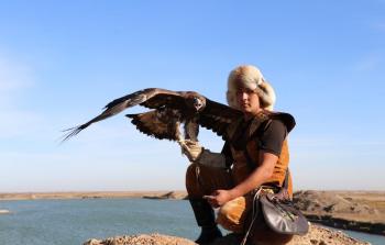 صائد النسور 