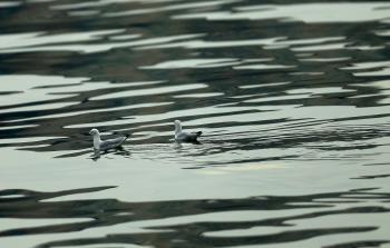 ترامب أثناء توقيعه أول قرار له في البيت الأبيض - CNN