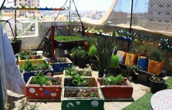  ما يميز الزراعة المنزلية هو تجنب استخدام المبيدات الكيميائية