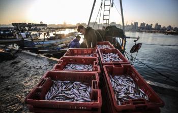  أوضاع الصيادين المعيشية مزرية للغاية 