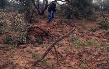 صورة أرشيفية