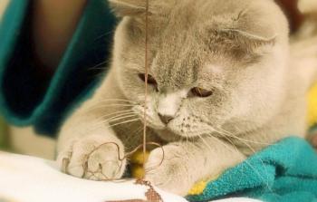 تعرض الأطفال لكميات بكتيريا صديقة يجعلهم أقل عرضة لتطوير المشاكل الصحية لاحقا