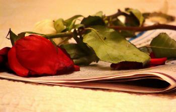 صورة تعبيرية