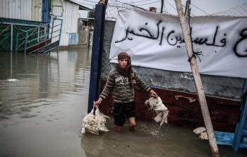 مزراع الدواجن أكثر تأثراً بالمنخفضات الجوية