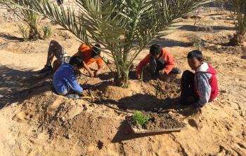 صورة أرشيفية