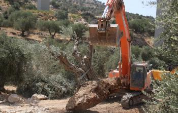 صورة أرشيفية