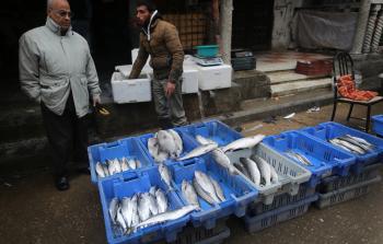 أسماك مصرية في أسواق غزة (عمر الافرنجي)