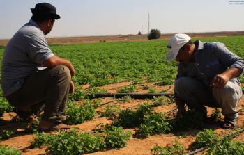 المزارعون في تلك المنطقة يعيشون معاناة مضاعفة