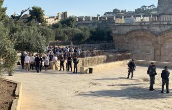 مستوطنون يقتحمون المسجد الأقصى تحت حراسة مشددة