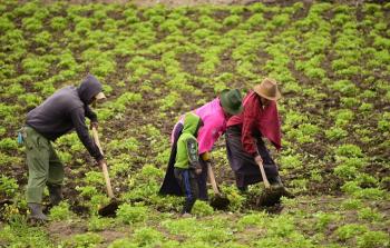 (صورة أرشيفية)