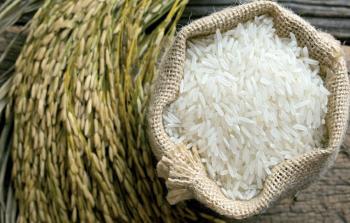 أكثر من نصف سكان العالم يعتمدون على الأرز في غذائهم
