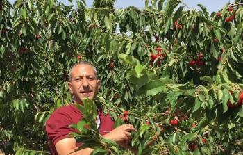 الأسير العربيد