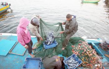 صيادون يشتكون من قلة الأسماك في المساحة الجديدة 