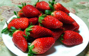 عوامل عدّة أدت إلى الوصول لحالة الاكتفاء الذاتي