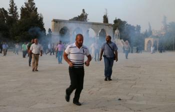 صورة أرشيفية