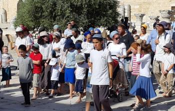 مستوطنون يقتحمون الأقصى (الأناضول)