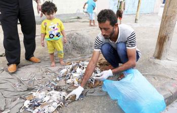 السلطعونات