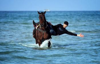 الفارس عبد الله الغفري