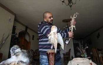 يملك عنبر أنواعا نادرة من الحيوانات، قام بتحنيطها بعد موتها