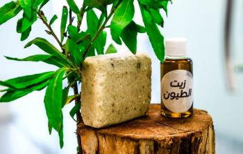 عشبة الطيون