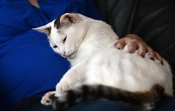 صورة تعبيرية