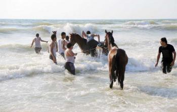استياء المصطافين من انتشار الحيوانات على شاطيء غزة 