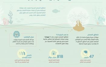  شقائق النعمان البحرية تكافح الزهايمر (الاناضول)