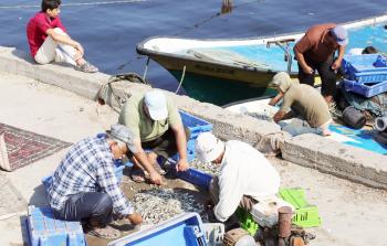 صيادون في ميناء غزة البحري (تصوير/ ياسر فتحي)