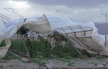  المئات من البيوت البلاستيكية تطايرت وتصدعت