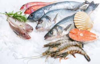 أوميغا-3 موجودة في الأسماك الغنية بالدهون