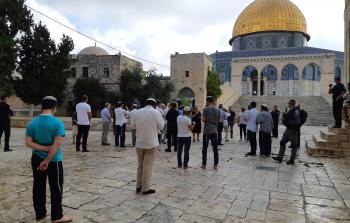 مستوطنون يقتحمون الأقصى (الأناضول)