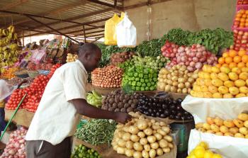 صورة أرشيفية