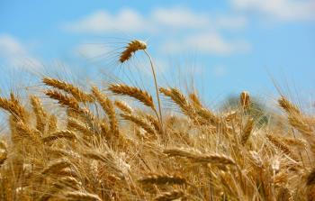 صورة تعبيرية