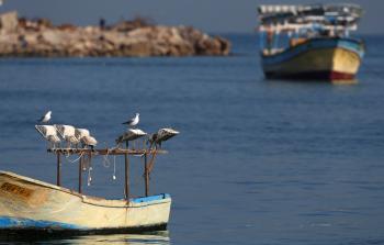 صورة أرشيفية - (أ ف ب)