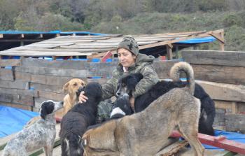 سيفيم أركان (الأناضول)