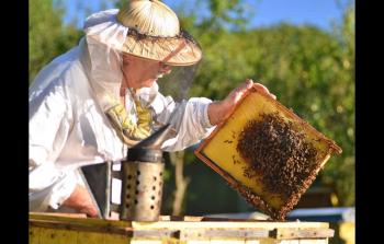 صورة أرشيفية