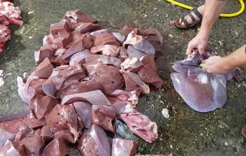 اللحوم ضمن قضية التحقيق 