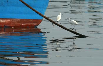 صورة أرشيفية - (أ ف ب)