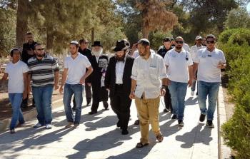 مستوطنون يقتحمون الأقصى اليوم ( صفا)