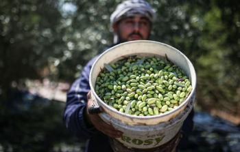 صورة ارشيفية