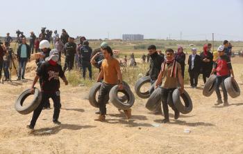 جانب من نقل الكوشوك في ملكة شرق الزيتون على حدود قطاع غزة - تصوير / رمضان الأغا